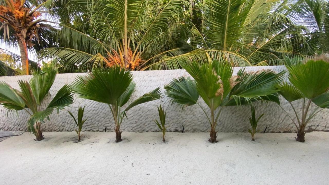 Oasis Village Fenfushi, Maldives Exteriör bild