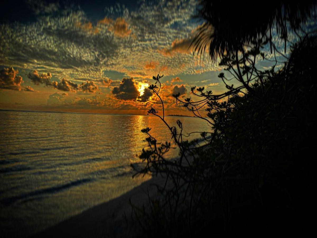Oasis Village Fenfushi, Maldives Exteriör bild