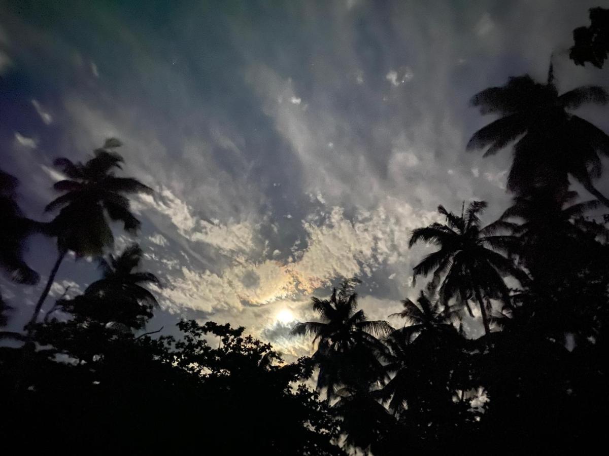 Oasis Village Fenfushi, Maldives Exteriör bild