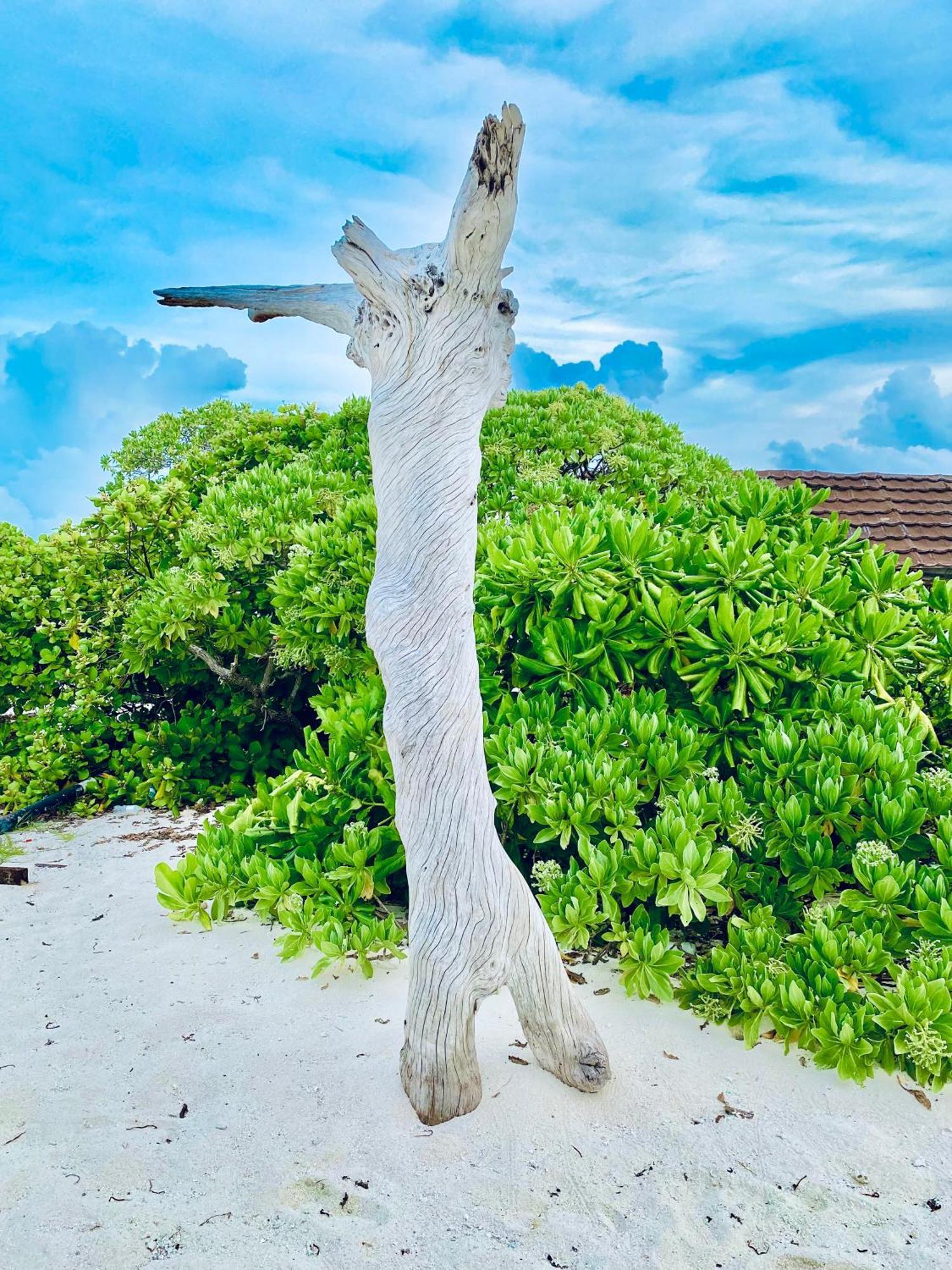 Oasis Village Fenfushi, Maldives Exteriör bild