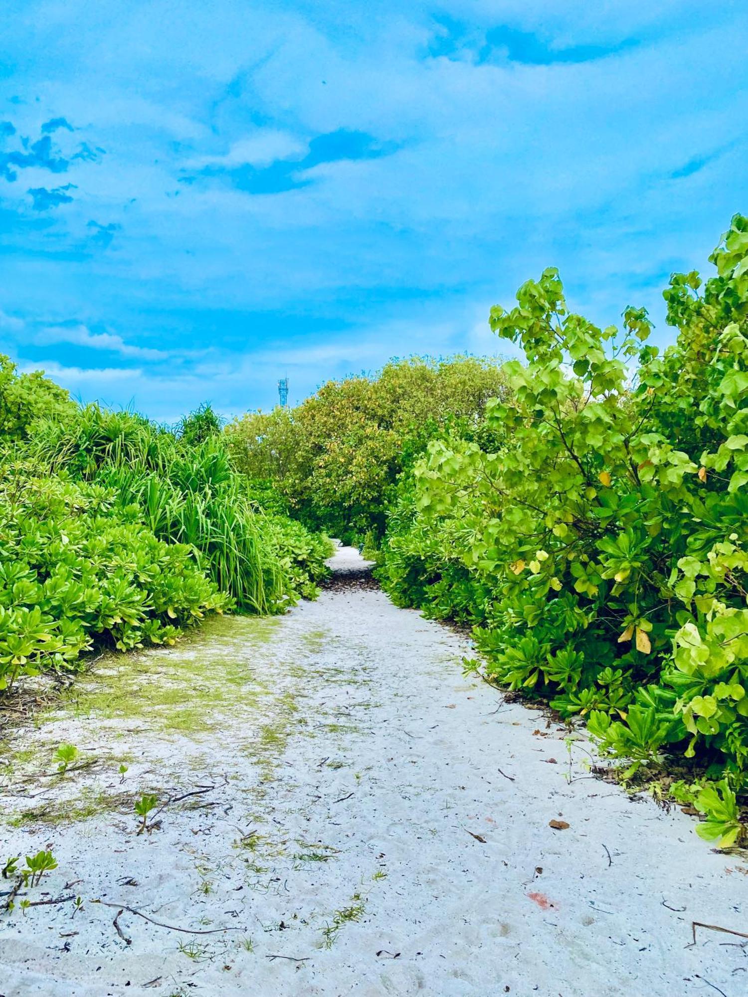 Oasis Village Fenfushi, Maldives Exteriör bild