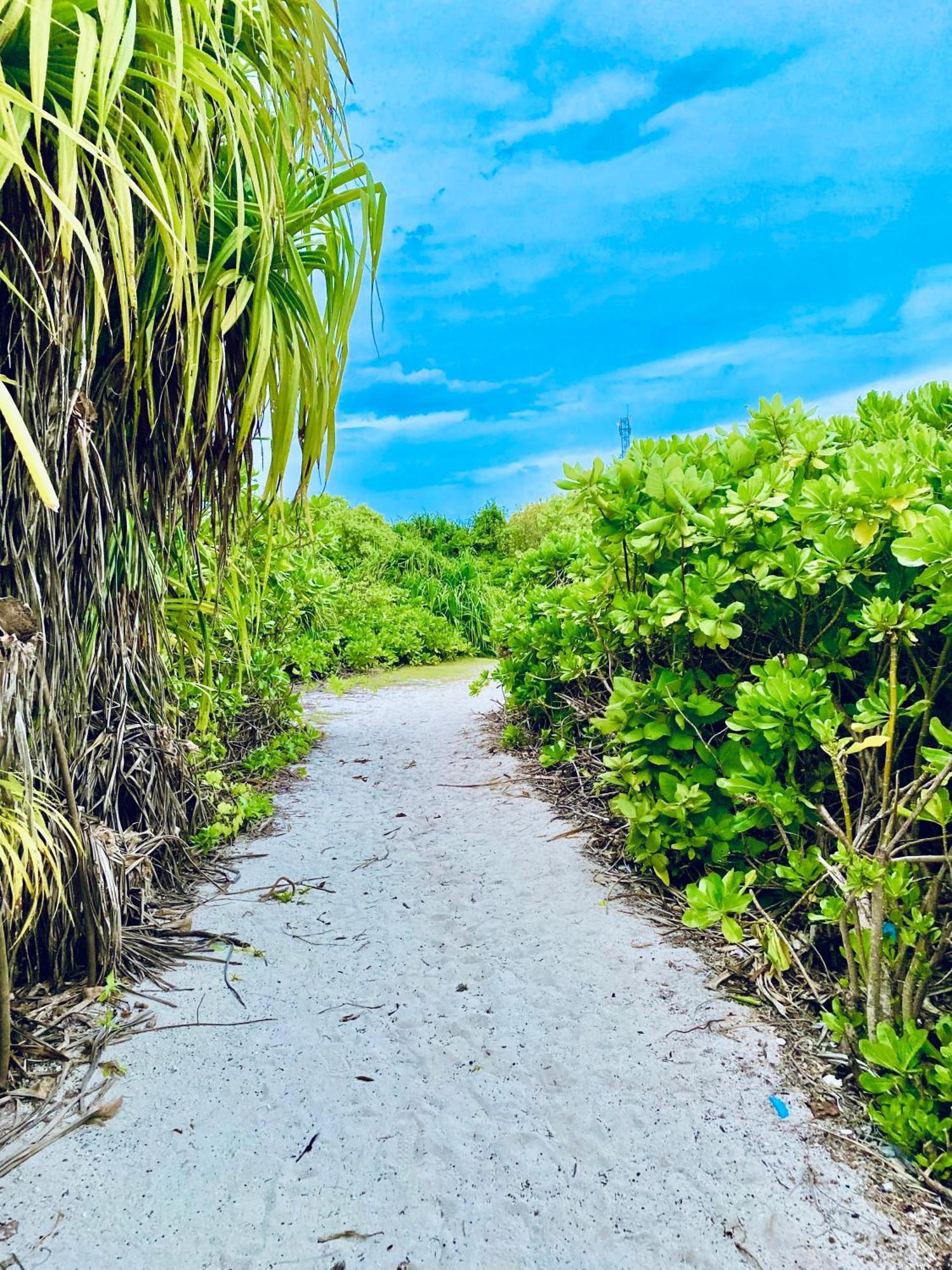 Oasis Village Fenfushi, Maldives Exteriör bild